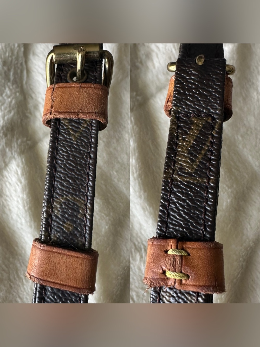 Louis Vuitton Amazone Crossbody Bag - Picture 11 of 16